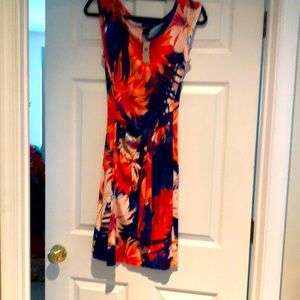 Ann Taylor floral Dress